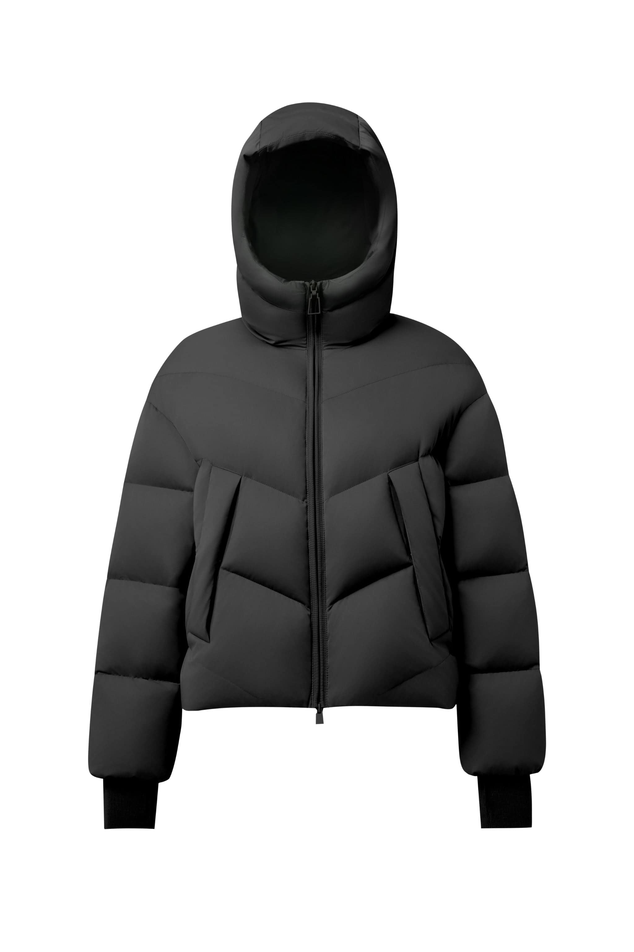 AREAL AREAL Women's Short Goose Down Puffer With Hood 914 Jacket Black / 6