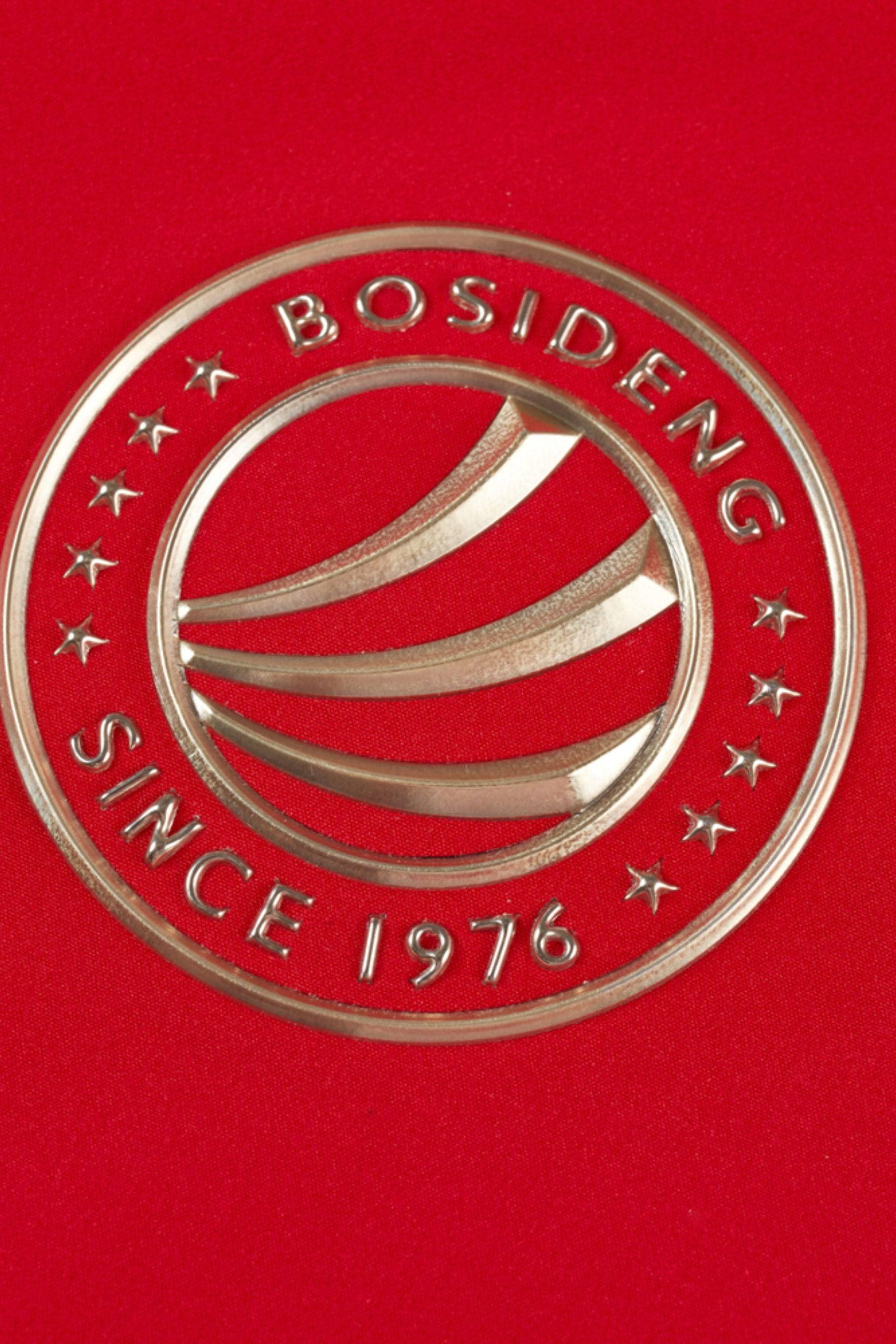 BOSIDENG 2023 Premium Goose Down Dragon Ski Jacket