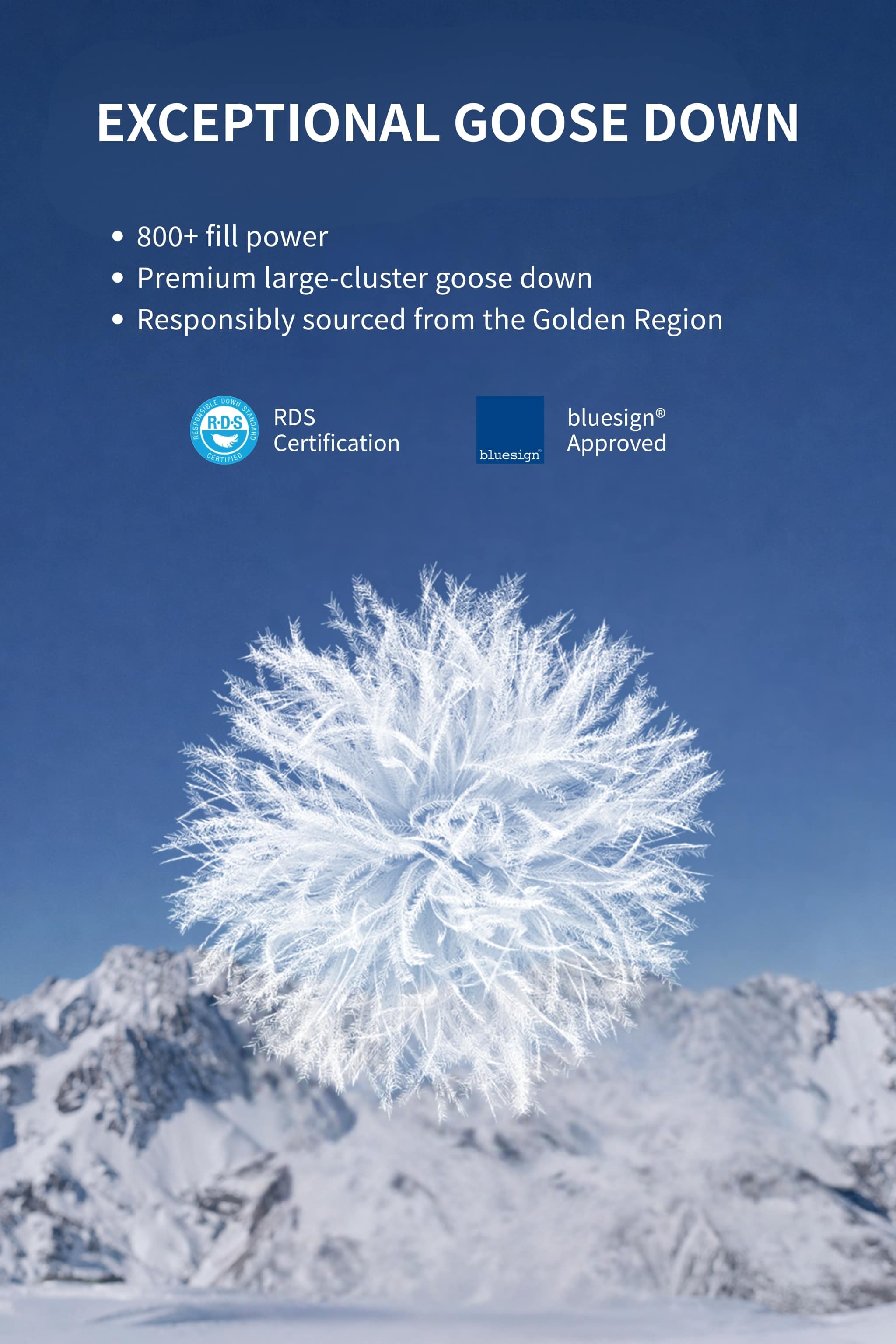 High-Performance GORE-TEX® Goose Down Jacket
