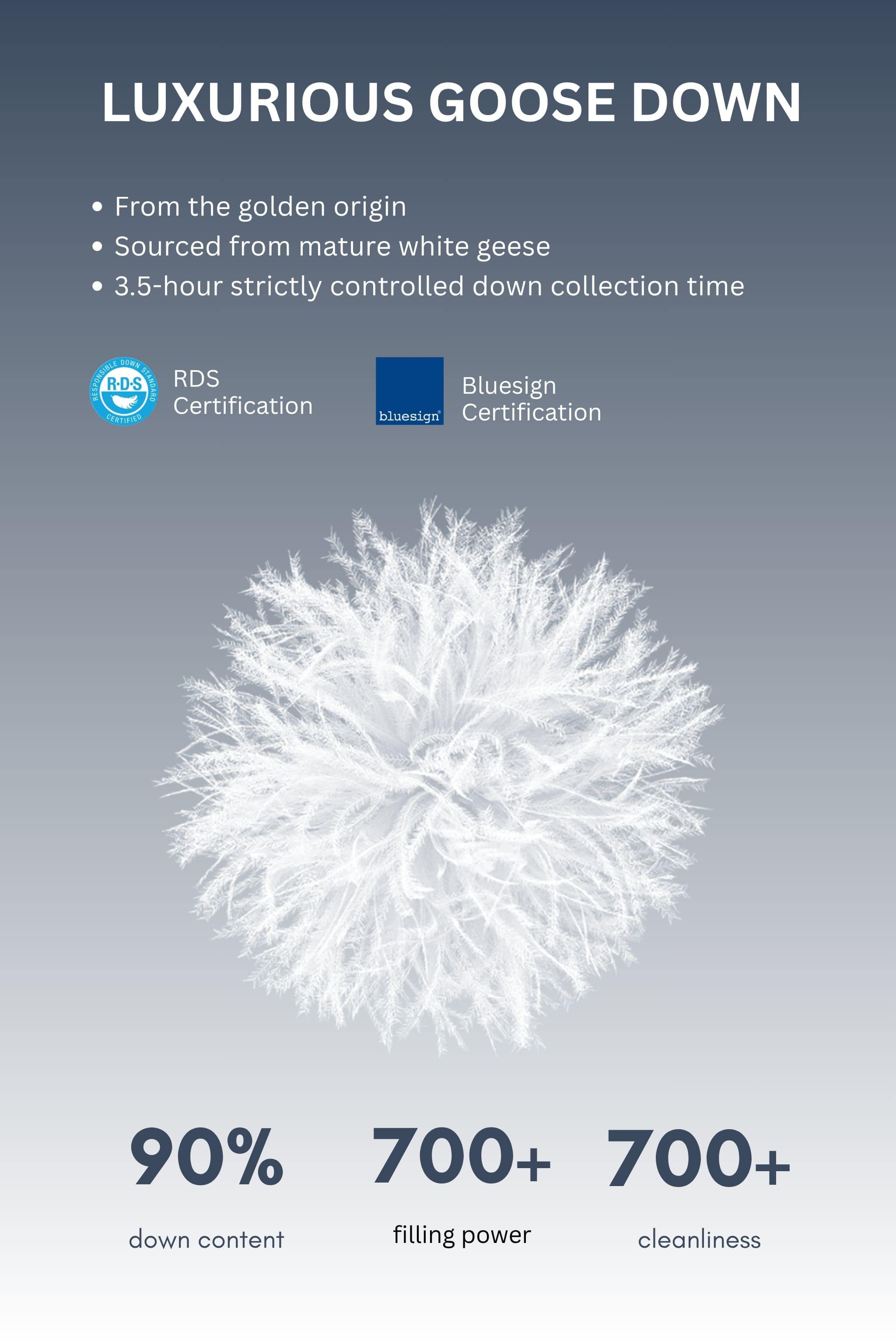 BOSIDENG 2024 Eastern Aesthetic Women's Goose Down Coat Jackets