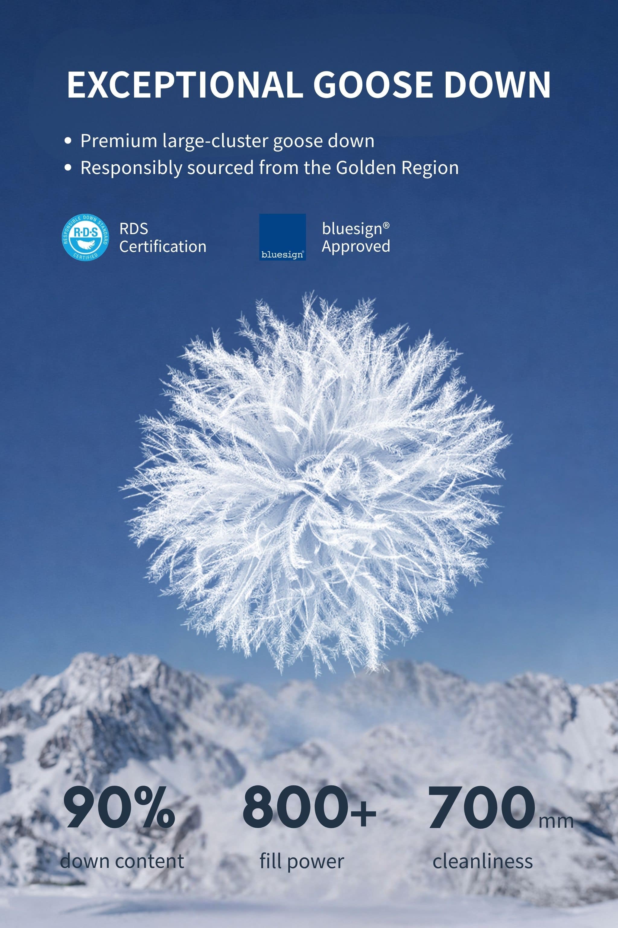 BOSIDENG 2024 Premium Business Women's Long Goose Down Coat Jackets