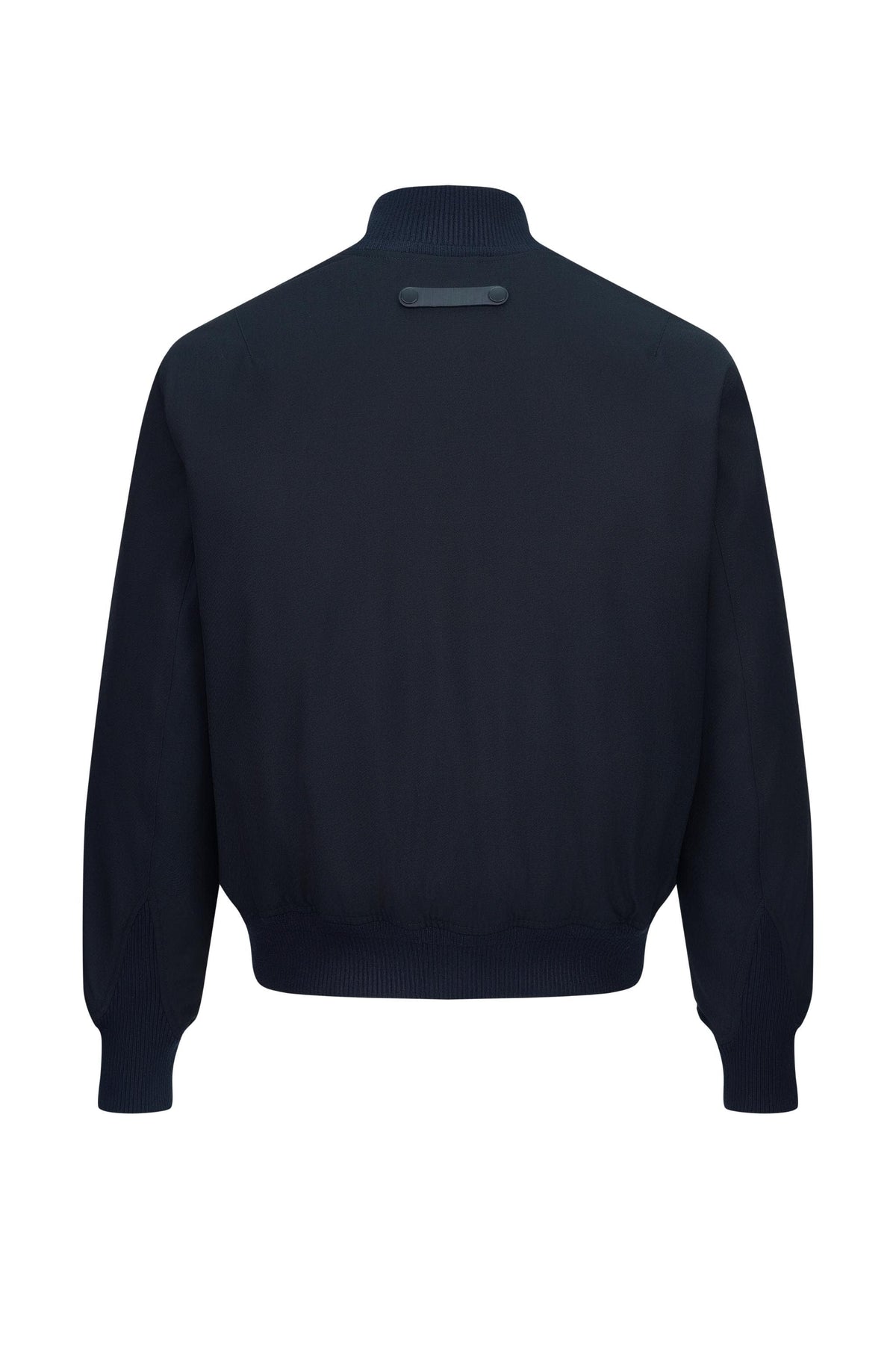 AREAL Men's Goose Down Bomber 901
