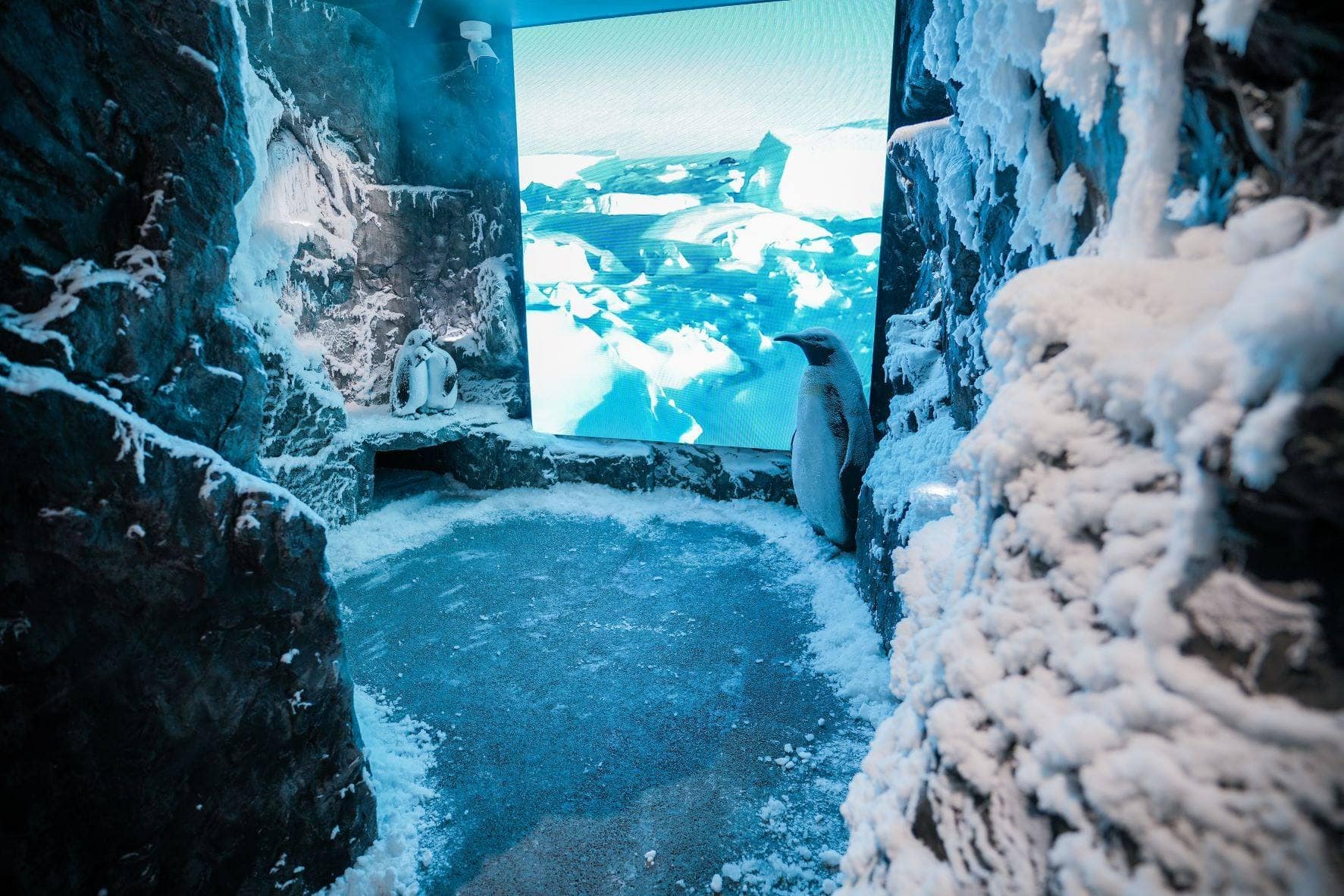 Bosideng Fashion Snow Room